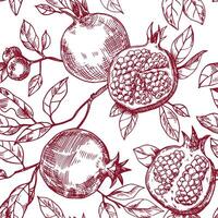 naadloos patroon van fruit en granaatappel bladeren, vector patroon in schetsen stijl. hand- tekening, gravure