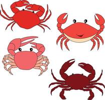 kleurrijk krab clip art reeks voor aquatisch leven geliefden vector