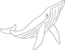 schets walvis clip art voor geliefden van oceaan schepsels vector