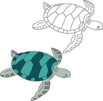 zee schildpad clip art set. schets en kleurrijk schildpadden vector