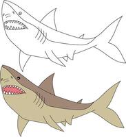 haai clip art set. kleurrijk en schets haaien vector