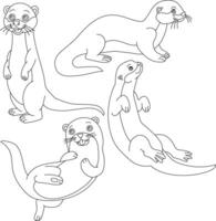 schets Otter clip art set. aquatisch dier zee Otter van zee leven vector