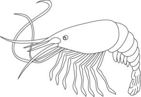 schets garnaal clip art voor geliefden van marinier leven vector