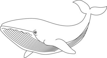 schets walvis clip art voor geliefden van oceaan schepsels vector