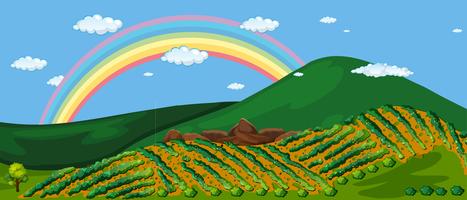 Prachtige boerderijberg en regenboog vector