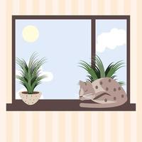 slapende kat in raam vector