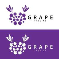 druif logo, tuin vector, vers Purper fruit, wijn merk ontwerp, gemakkelijk illustratie sjabloon vector