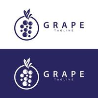 druif logo, tuin vector, vers Purper fruit, wijn merk ontwerp, gemakkelijk illustratie sjabloon vector