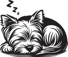 yorkshire terriër hond slapen illustratie. vector