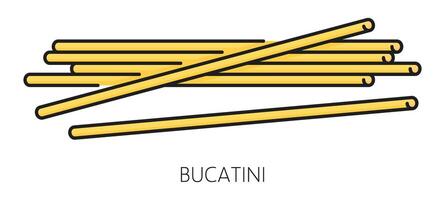 perciatelli dik spaghetti pasta bucatini voedsel vector