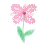 roze bloem met groen bladeren waterverf. geïsoleerd Aan wit achtergrond. vector illustratie