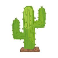 cactus exotische plant vector