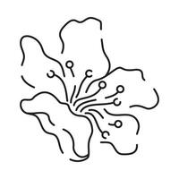 sakura lijn icoon. lineair Japans kers bloesem symbolen geïsoleerd Aan een wit achtergrond. voorjaar vector illustratie.