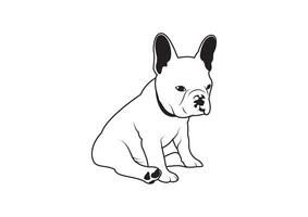 Frans bulldog zwart en wit concept zit Aan de verdieping vector