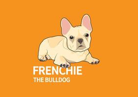 schattig reekalf bruin Frans bulldog in de oranje achtergrond vector