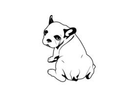 schattig frenchie de bulldog van de achterkant is zittend naar beneden in een ontspannen stijl in zwart en wit tekening vector