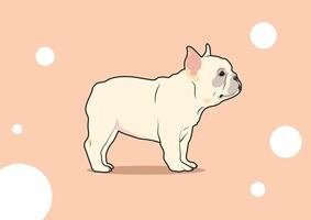 schattig Frans bulldog staan met haar kort poten vector