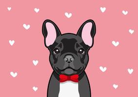 zwart Frans bulldog in een rood boog kostuum, hij is klaar naar ontmoeten zijn Valentijnsdag datum paar vector