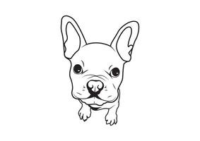 schattig puppy Frans bulldog gezicht in zwart en wit vector