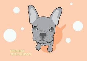 schattig grijs puppy Frans bulldog gezicht vector