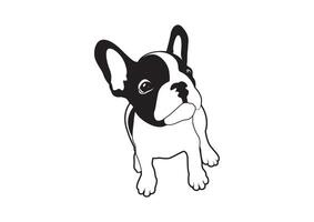 schattig Frans bulldog op zoek voor sommige voedingsmiddelen zwart en wit logo vector