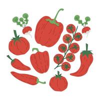 hand- getrokken rood groenten. gezond levensstijl tekening groenten, tomaat en peper vector illustratie set. heerlijk vegetarisch biologisch vitamines voedsel