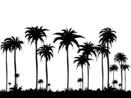 silhouetten van kokosnoot bomen vector