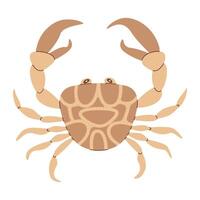 vector illustratie tekenfilm krab. schattig en mooi zee dieren. hand- getrokken vlak stijl krab geïsoleerd Aan wit. modieus vlak vector illustratie