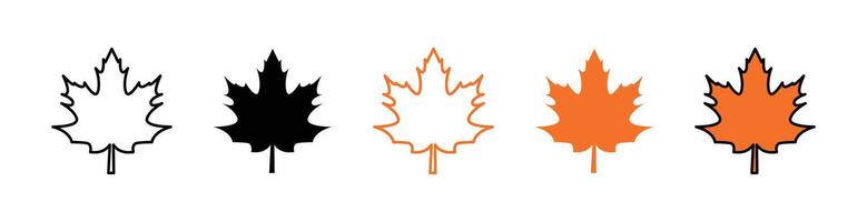herfst blad Canadees icoon vector