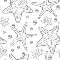 zeester vector naadloos patroon. schets illustratie van zee ster achtergrond. zwart en wit lijn kunst. hand- getrokken grafisch schetsen. lineair afdrukken tekening voor omhulsel papier en kleding stof