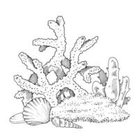 zee afdrukken vector lijn kunst. koraal rif schets. hand- getrokken zwart en wit grafisch clip art. lineair tekening van onderwater- strand. zeeschelp in de zand illustratie. oceaan leven schetsen