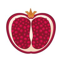 halve granaatappel fruit vector