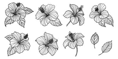 reeks van hand- getrokken hibiscus bloem. schets vector illustratie met tropisch bloemen