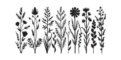 wild weide kruiden bloeiend bloemen vector silhouetten collecties vector kunst illustratie