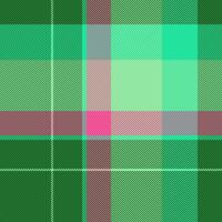 mooi zo textiel structuur tartan, blanco patroon achtergrond kleding stof. handgemaakt vector controleren plaid naadloos in groen en munt kleuren.