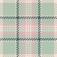 textiel ontwerp van getextureerde plaid. geruit kleding stof patroon swatch voor shirt, jurk, pak, omhulsel papier afdrukken, uitnodiging en geschenk kaart. vector