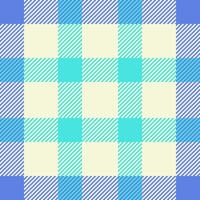 textiel ontwerp van getextureerde plaid. geruit kleding stof patroon swatch voor shirt, jurk, pak, omhulsel papier afdrukken, uitnodiging en geschenk kaart. vector