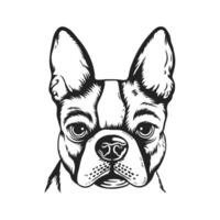 een realistisch zwart en wit vector illustratie van een Frans bulldog