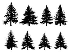 Spar bomen silhouet set. zwart silhouetten van sinus bomen Aan wit achtergrond. vector illustratie