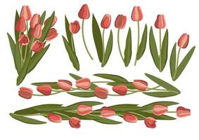 wijnoogst tulp. reeks van helder bloemen en bladeren. vector illustratie.