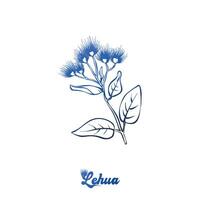 ohja lehua, staat bloem van Hawaii. hand- getrokken botanisch vector illustratie