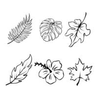 botanisch lineair bloem set. abstract creatief bloemen verzameling, minimalistische bloemrijk kunst voor afdrukken, tatoeëren. vector illustratie