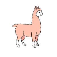 vector hand- getrokken tekening schetsen lama alpaca