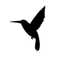 vector zwart kolibrie silhouet
