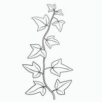 bloemen klimop tekening decoratief ornament vlak ontwerp. vector