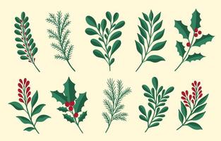 kerst bloemen plant set. nieuwjaar 2021 collectie tak leaf.decoration botanisch ontwerp. vector