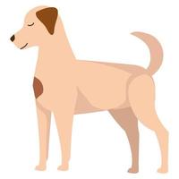hond mascotte icoon vector