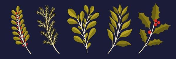 kerst bloemen plant set. nieuwjaar 2021 collectie tak leaf.decoration botanisch ontwerp. vector