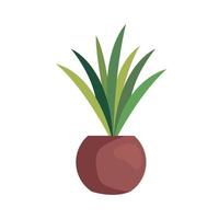 plant in pot vector