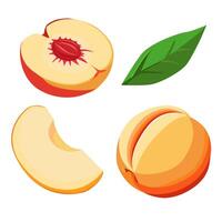 reeks van sappig en gezond oranje perzik en plakjes geïsoleerd Aan wit achtergrond. vector gesneden fruit illustratie in vlak stijl. zomer clip art voor ontwerp van kaart, banier, folder, uitverkoop, poster, pictogrammen